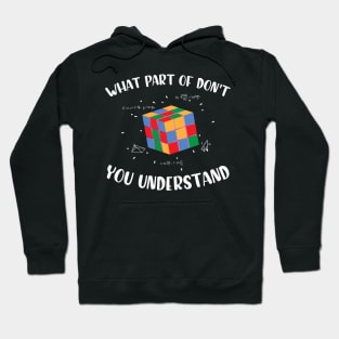What Part Of Don't You Understand, Funny Math Lover Humor Hoodie